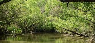 HUMEDALES RESERVA ACHALAY